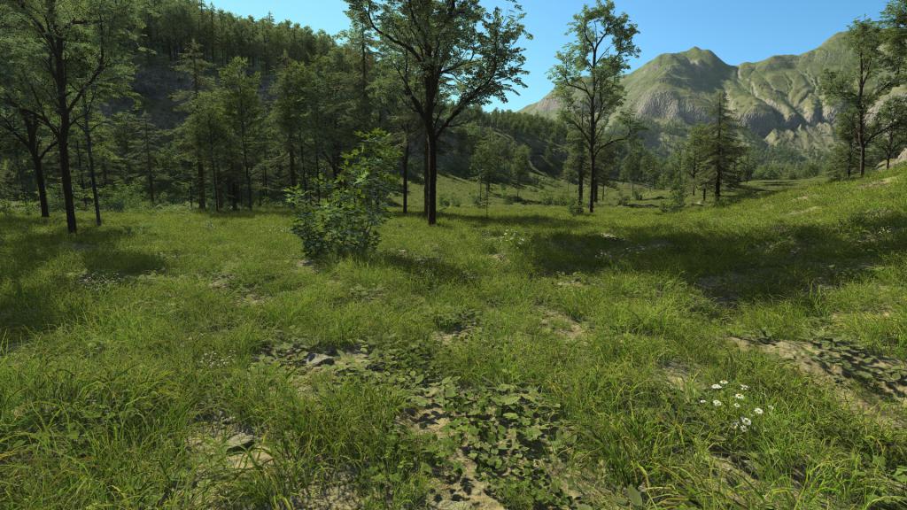 Countryside