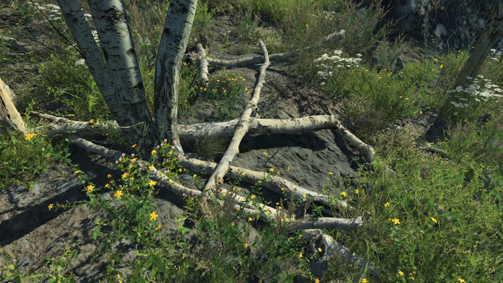 Dead Birch Parts