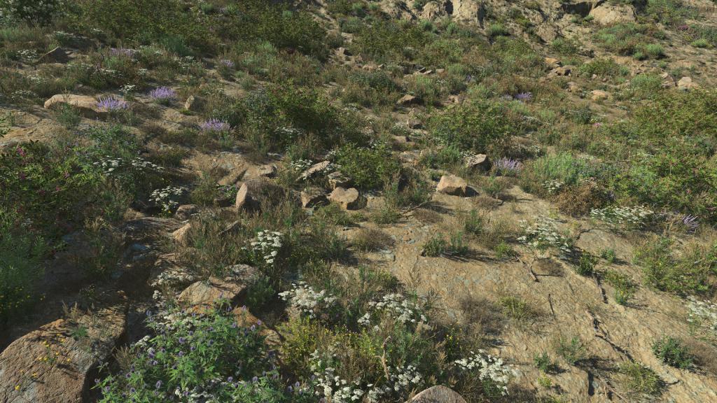 Arid Desert Rocks
