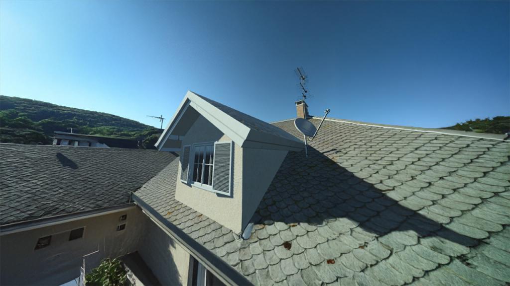 Roof Elements