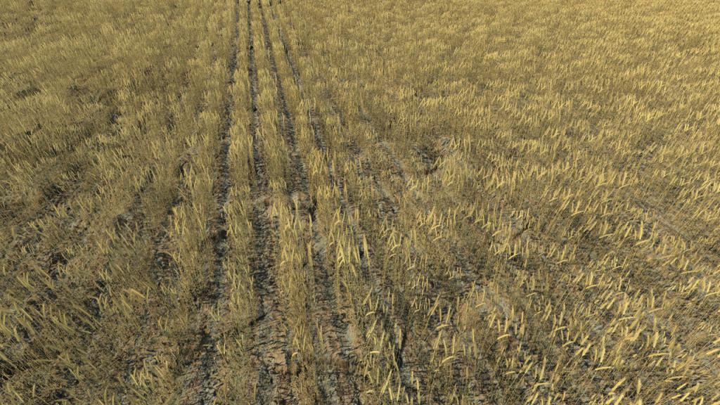 Fields