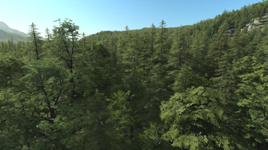 Trees