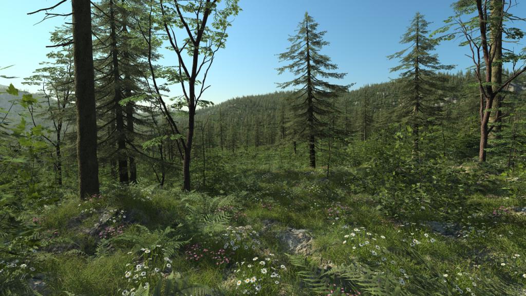 Biomes