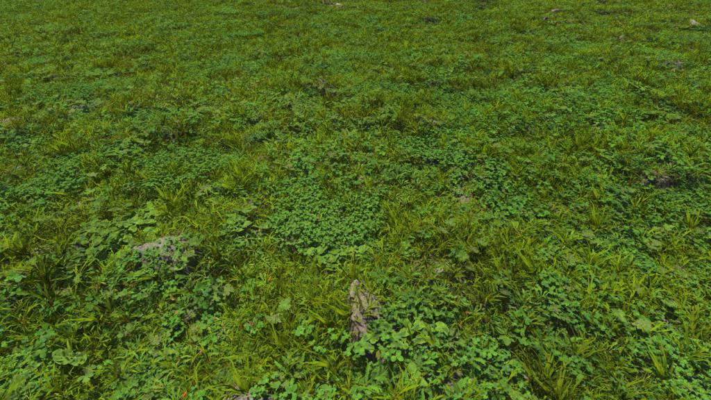 Grass Patches