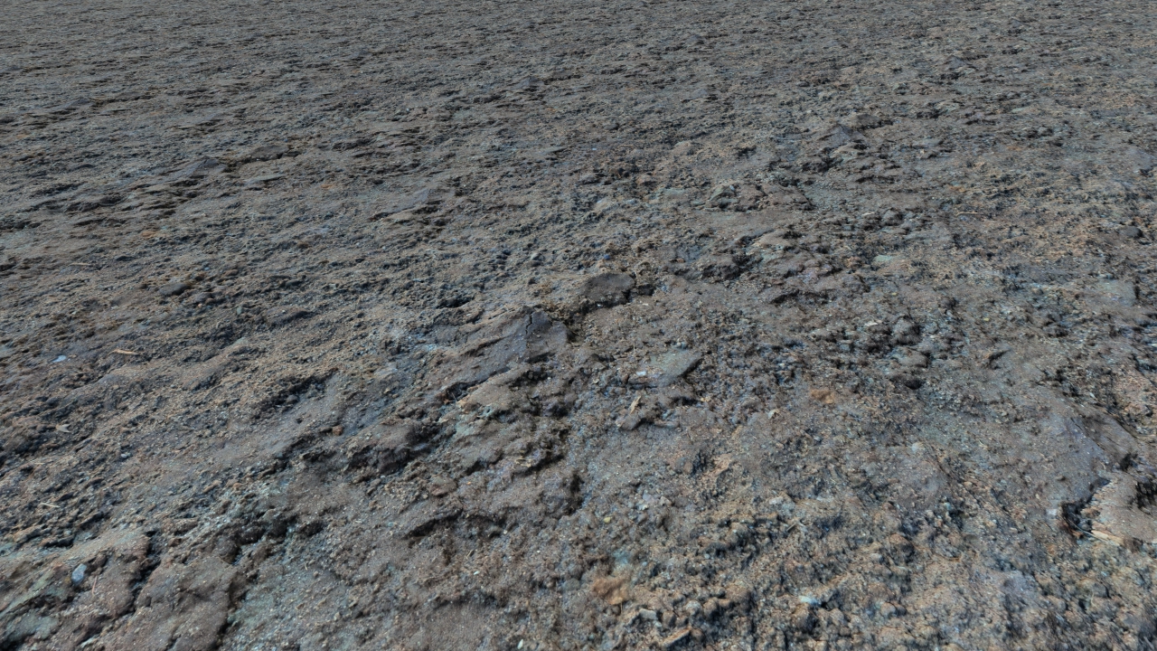 Fallow grounds_4