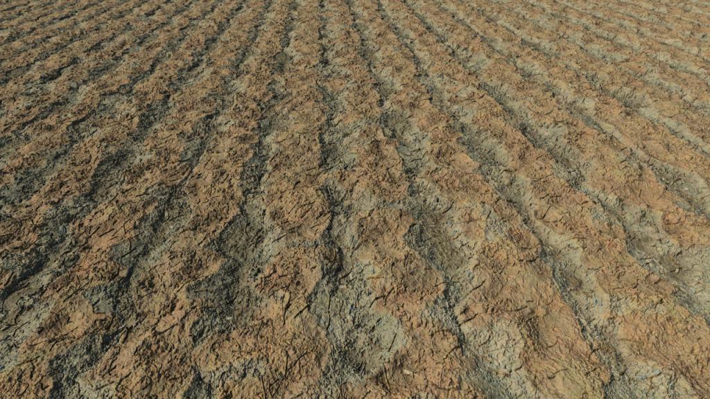 Fallow soils