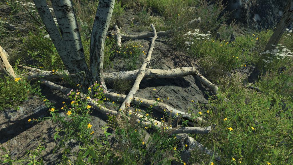 Dead birch parts