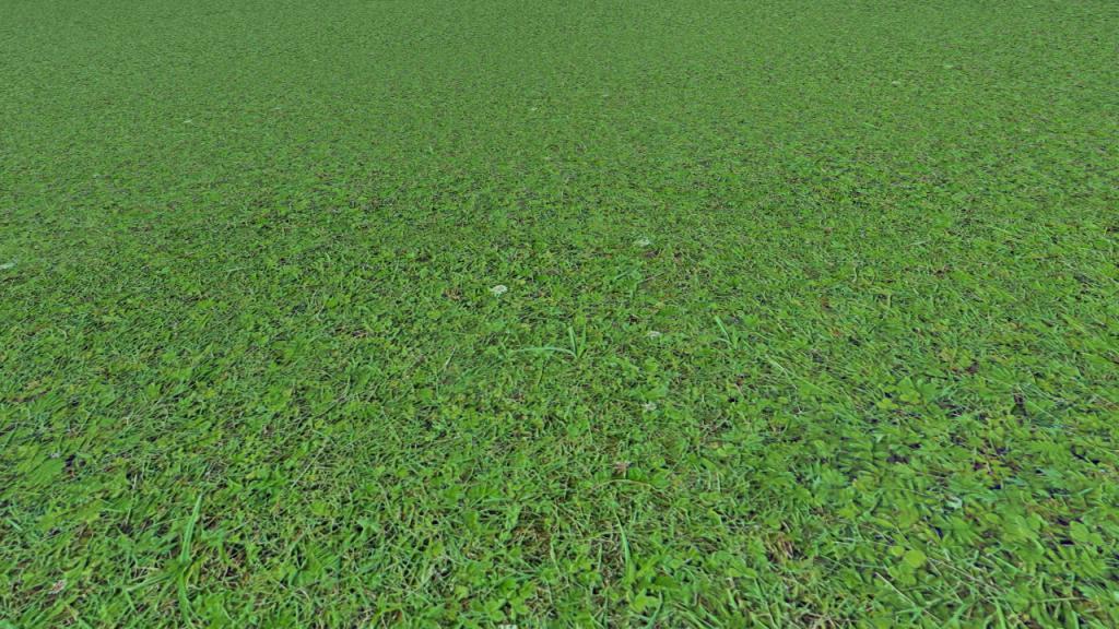Grass covered soils