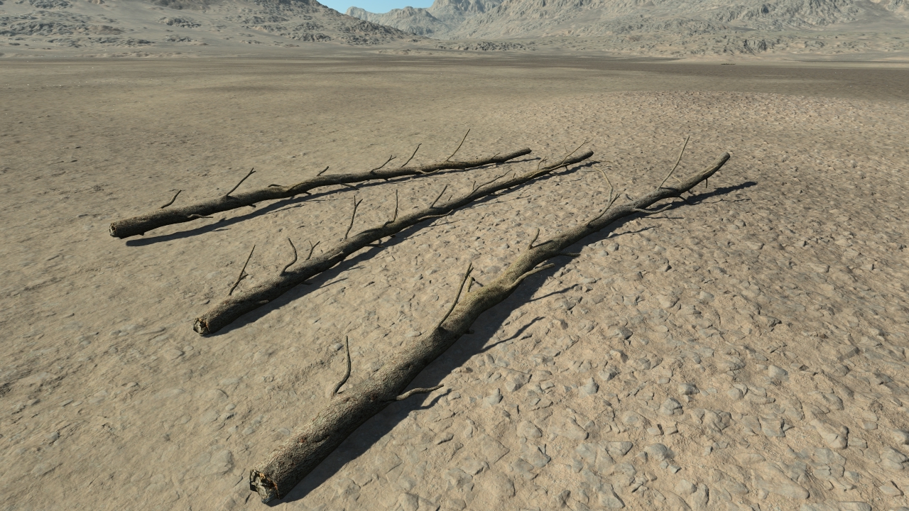 Fallen Fir Trunks_3