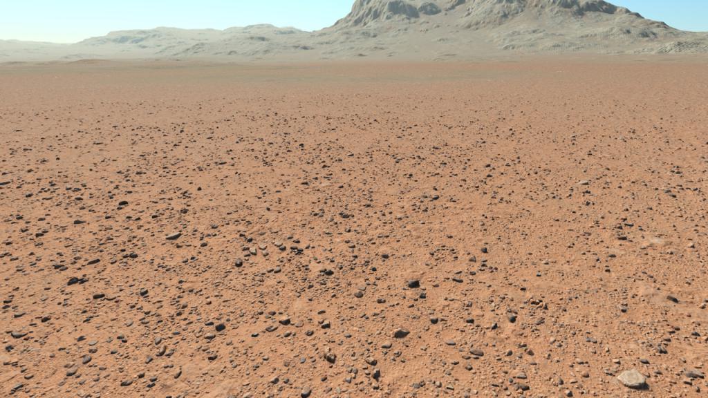 Dirt and pebbles