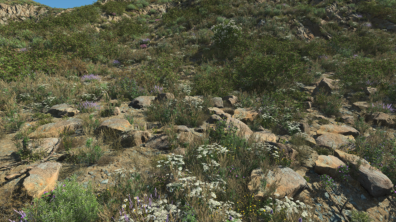 Arid Desert Rocks_0