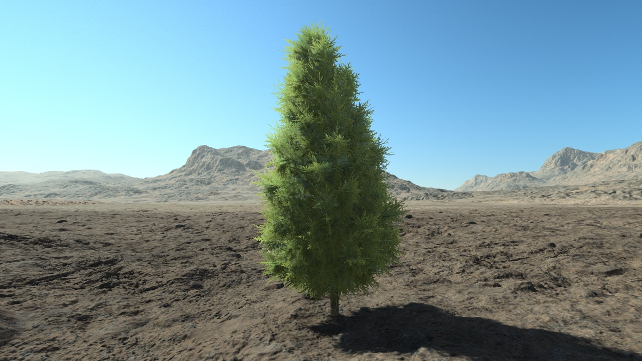 Small thuja hedge_1